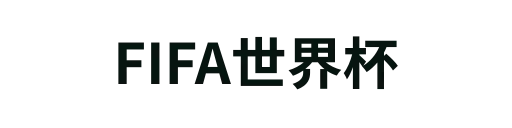 FIFA世界杯